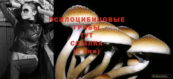 ПСИЛОЦИБИНОВЫЕ ГРИБЫ Армянск