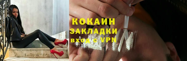 шишки Михайловка
