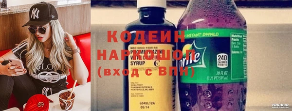 стаф Аркадак