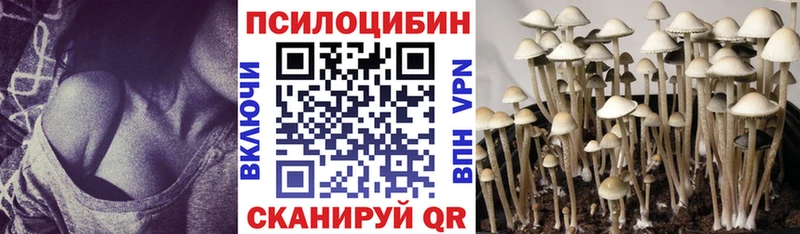 цена   Александров  Псилоцибиновые грибы мухоморы 